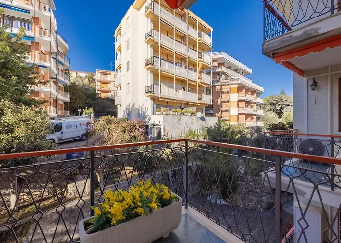 La Mimosa By Wonderful Italy *